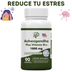 ASWAGANDHA SUPLEMENTO NATURAL